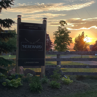 Start a sustainable lavender farm or herbalist business—ideal for introverts, spiritual seekers, and free spirits craving freedom. Discover eco-friendly entrepreneurship with guidance tailored to unconventional, independent lifestyles