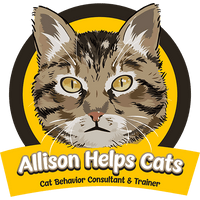 Freelance cat behavior consultant path for those seeking purpose and peace. Ideal for introverts, neurodivergent creatives, and spiritual rebels who want to help animals, work from home, and escape traditional jobs for a calm, aligned lifestyle.