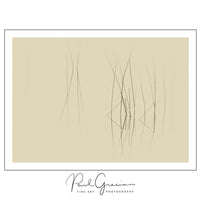 Capture the beauty of wildlife with a bird and nature photography business. Ideal for empaths, introverts, and free spirits who want to escape the 9-5, work remotely, and turn their passion for nature into a fulfilling, creative, and independent career.