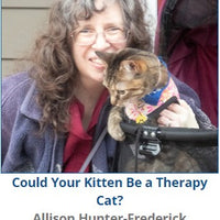 Freelance cat behavior consultant path for those seeking purpose and peace. Ideal for introverts, neurodivergent creatives, and spiritual rebels who want to help animals, work from home, and escape traditional jobs for a calm, aligned lifestyle.