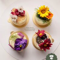 Love dogs and freedom? Become a dog chef or certified canine nutritionist. Expert-led business guidance for empaths, introverts, and rebellious spirits craving autonomy and a meaningful, pet-focused career.