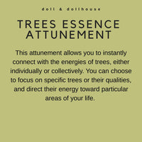 learn energy healing and become a reiki master to heal others as well as yourself