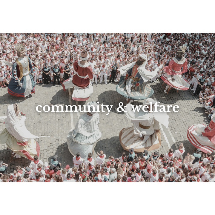 Doll Dollhouse doll-dollhouse