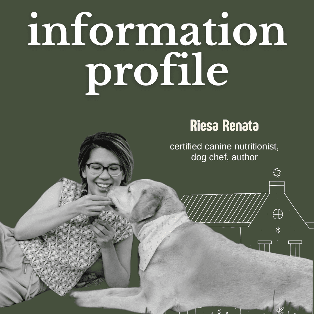 a day in the life of a dog chef and canine nutritionist